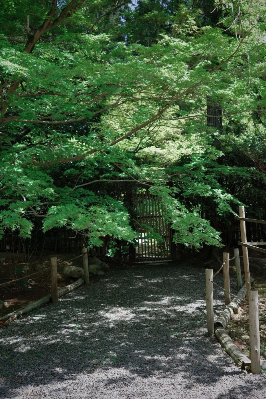 京都旅行照片 3