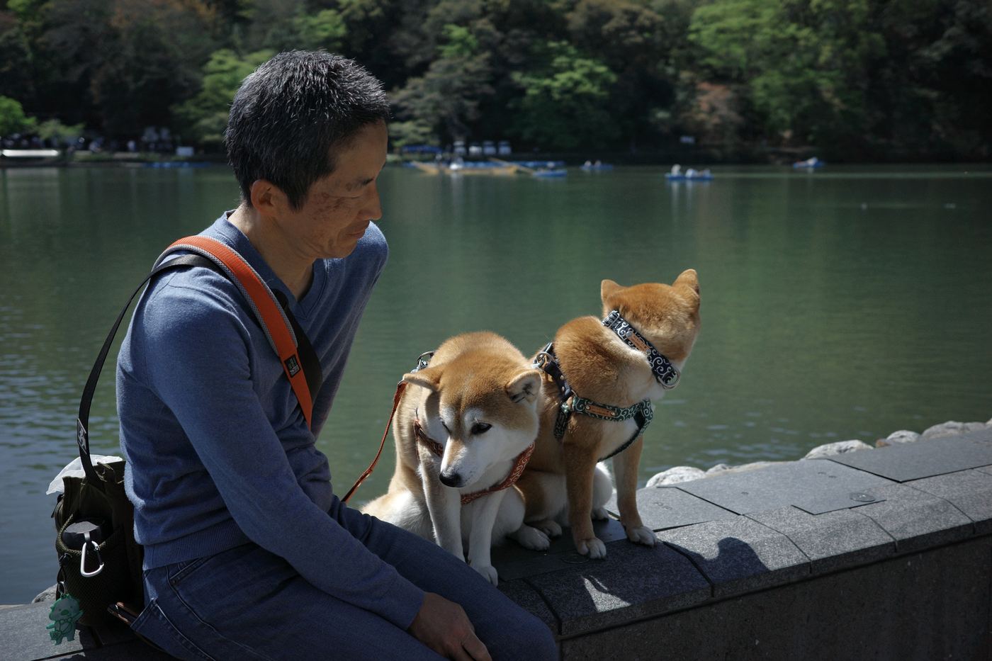 日本旅行照片 8