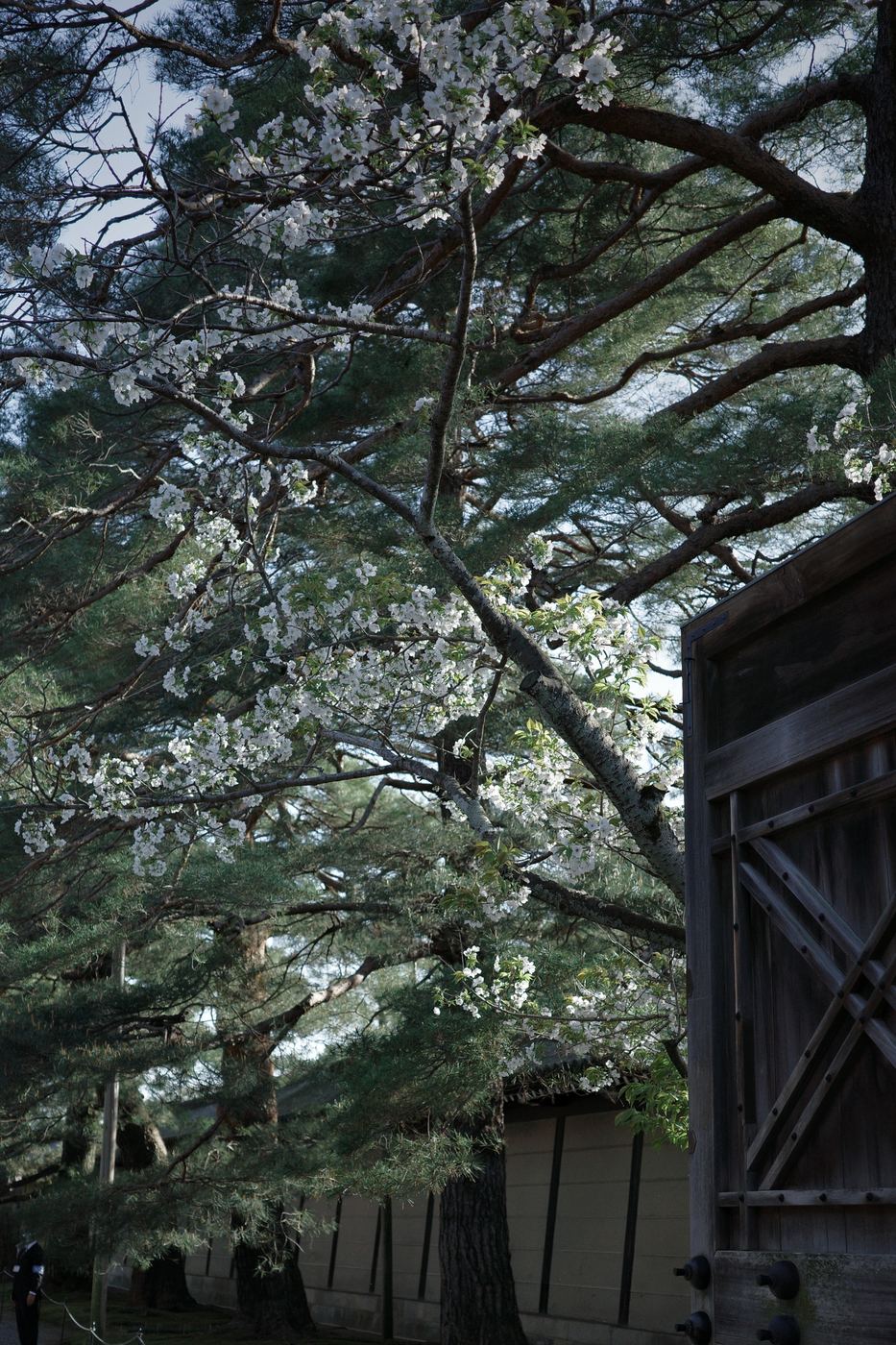 日本旅行照片 15